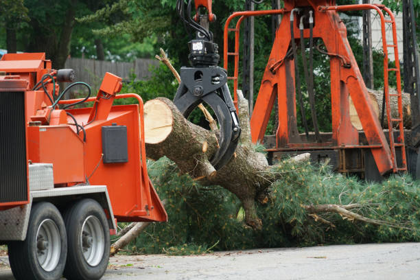 Mulching Services in North Valley Stream, NY